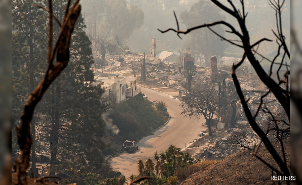 Gambling On Calamity: The Los Angeles Wildfire Betting Phenomenon Gambling On Calamity: The Los Angeles Wildfire Betting Phenomenon