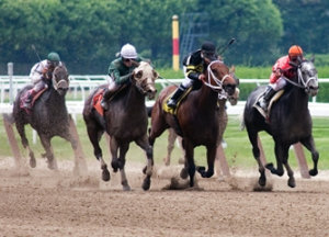 Grand National 2025: Examining Horse Fatalities Ahead Of The Race Grand National 2025: Examining Horse Fatalities Ahead Of The Race