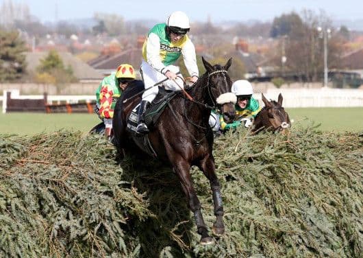 Grand National 2025 Runners:  A Pinsticker's Guide To Aintree