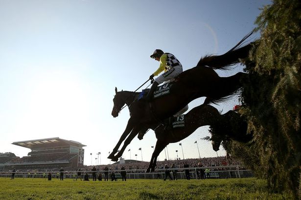 Horse Deaths At The Grand National: Statistics Before The 2025 Race Horse Deaths At The Grand National: Statistics Before The 2025 Race