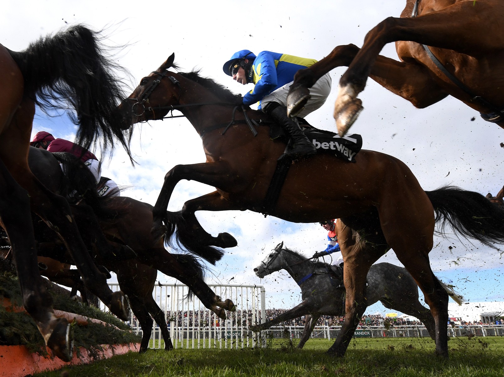 How Many Horses Died At The Grand National Before 2025? How Many Horses Died At The Grand National Before 2025?