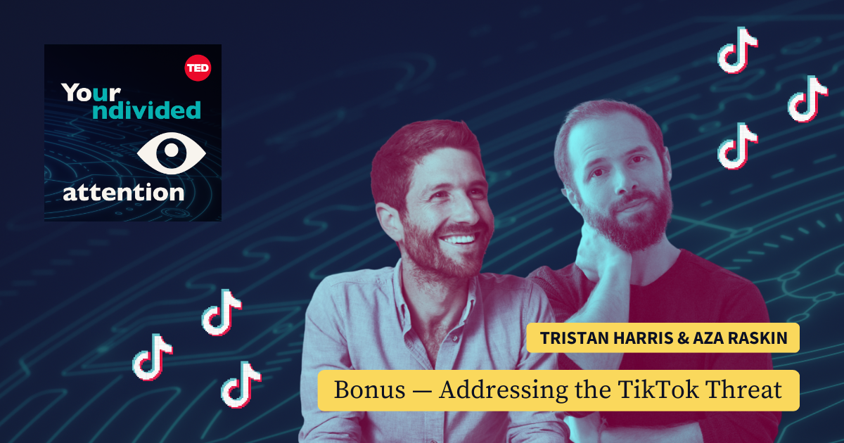 Investigating TikTok's Investigating TikTok's