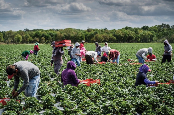 Ontario Eases Internal Trade Barriers: Alcohol And Labour Mobility Changes Ontario Eases Internal Trade Barriers: Alcohol And Labour Mobility Changes