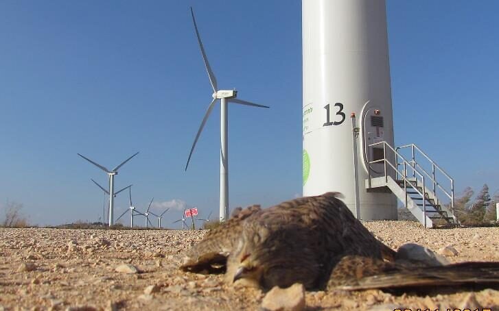 PNE Group's Portfolio Growth: Two New Wind Farms Online PNE Group's Portfolio Growth: Two New Wind Farms Online