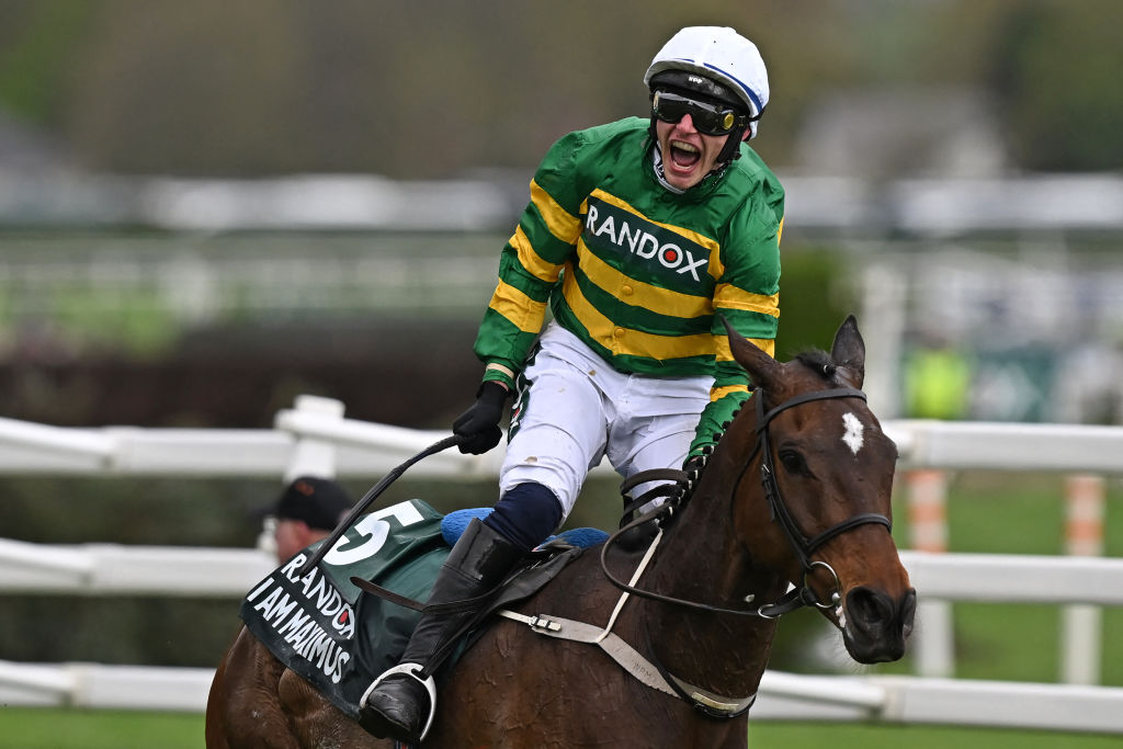 Predicting The Grand National 2025 Winners: Key Runners And Aintree Insights