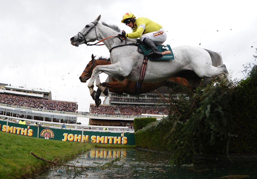 The Number Of Horse Deaths At The Grand National Preceding 2025 The Number Of Horse Deaths At The Grand National Preceding 2025